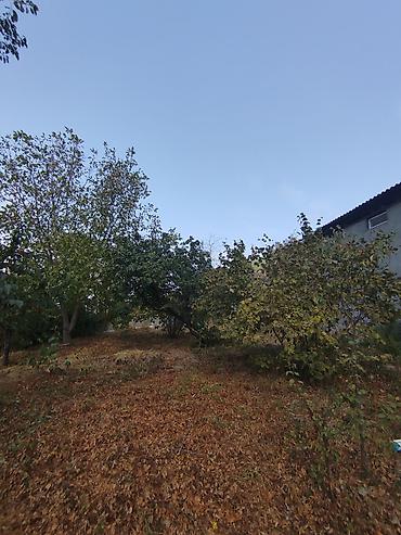 Həyət evləri və villaların satışı: Həyətyanı sahəsi genişdir, sakit məhəllədə yerləşir, ətrafı təbiət və -da lalafo.az — 15 Həyət evləri və villaların satışı: Həyətyanı sahəsi genişdir, sakit məhəllədə yerləşir, ətrafı təbiət və — 15