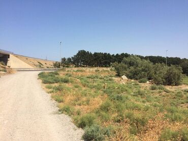 Torpaq sahələrinin satışı: 45 sot, Tikinti, Makler, Kupça (Çıxarış) — 6