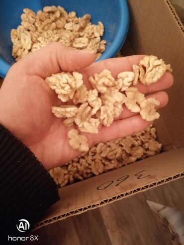 Ləpələr: Soyulmuş qoz ləpəsi. 10 kq karobkada. Toptan satış qiymətə və ünvana — 6