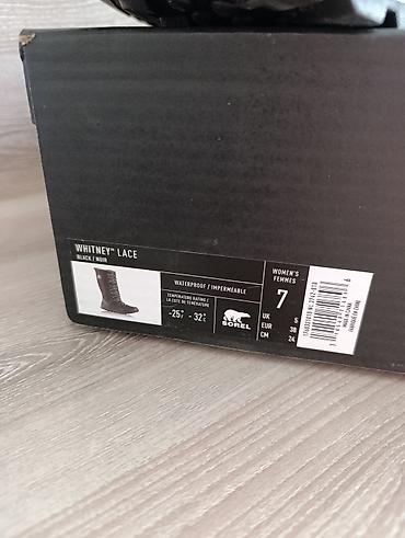 Бөлмө өсүмдүктөрү: Женские зимние сапоги Sorel Whitney Lace - Цвет: Black (черный) - — 3