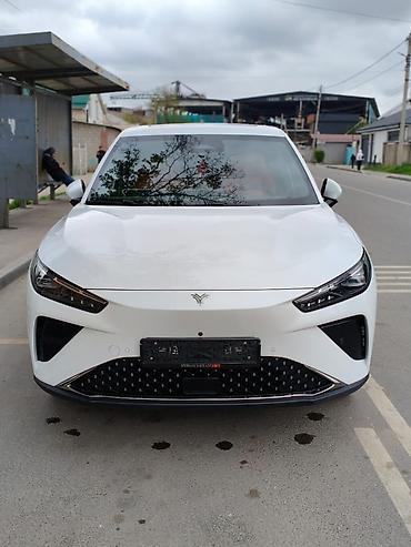 Другие детали салона: Нета л полный комплектация . пробек 36000 оргинал .родной окрас100% — 1