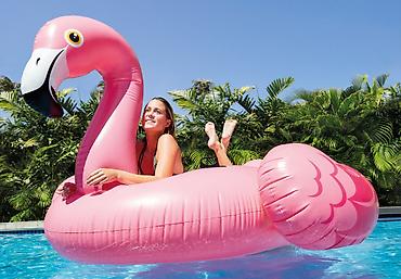 Hovuzlar: 🦩 Intex Flamingo – Premium Şişmə Hovuz Yatağı (178x135 sm) Yayın — 2