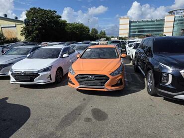 хендай аванте цена бишкек: Hyundai Sonata: 2019 г., Автомат, Бензин, Седан