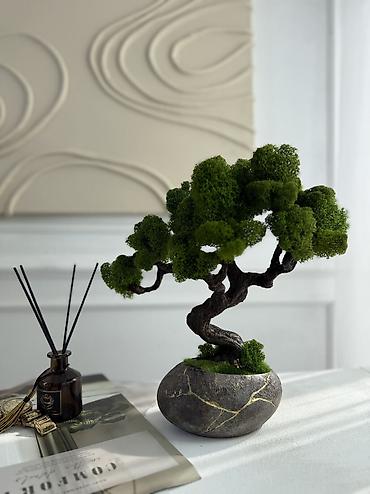 Декоративные цветы: В переводе с японского Бонсай означает «дерево, выращенное в блюде» — 44