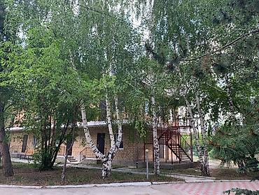 Недвижимость: Гостиница на Иссык-Куле, Бостери, 4 места — 6