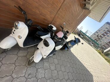 мотоцикл с автоматической коробкой передач: Электроскутеры продаются и аренду