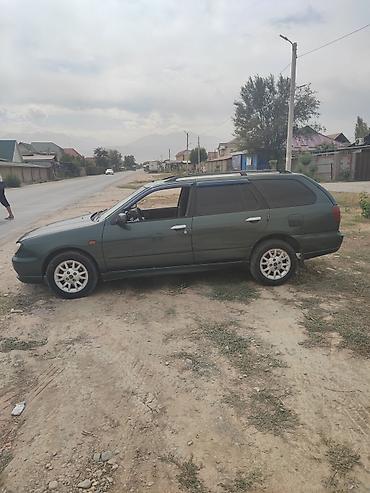 Продажа авто: Nissan Primera: 2001 г., 1.8 л, Механика, Бензин, Универсал — 2