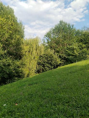 Torpaq sahələrinin satışı: 92 sot, Biznes üçün, Mülkiyyətçi, Kupça (Çıxarış), Bələdiyyə, Müqavilə — 16