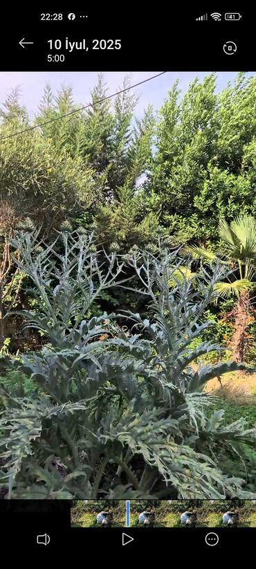 Həyət evləri və villaların satışı: 4 otaqlı, 700 kv. m, Kredit yoxdur, Təmirsiz — 11