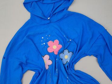 the north face gucci bluza: Women`s hoodie, XL (EU 42)