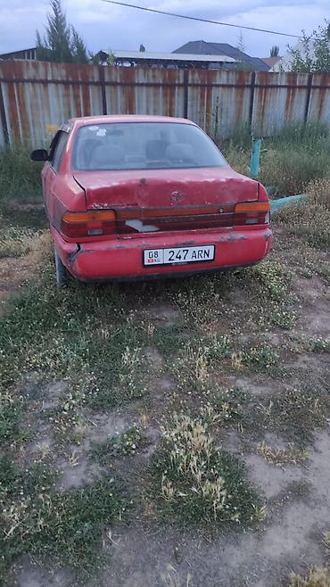 тойота корола 1997: Toyota Corolla: 1996 г., 1.6 л, Автомат, Бензин, Седан — 3