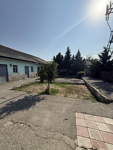 torpaq binə: Obyekt/torpaq sahəsi – çoxfunksiyalı həyət kompleksi - Geniş həyət — 2
