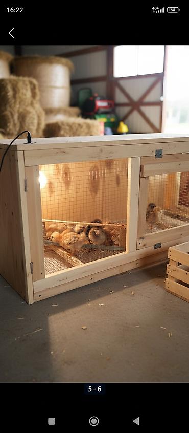 Товары и оборудование для с/х животных: Клетка для животных с деревянным каркасом и металлической сеткой — 1