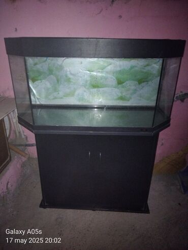 Akvariumlar: Üçbucaq akvarium, 100 l, Ödənişli çatdırılma
