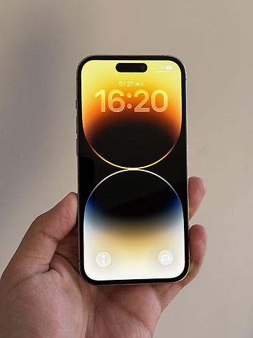phone 14 pro: IPhone 14 Pro, Б/у, 256 ГБ, Золотой, Чехол, 100 % — 2