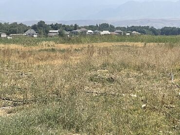 продажа дом маевка: 27000 соток, Бизнес үчүн, Сатып алуу-сатуу келишими