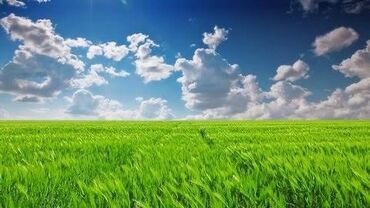Продажа участков: 500 соток