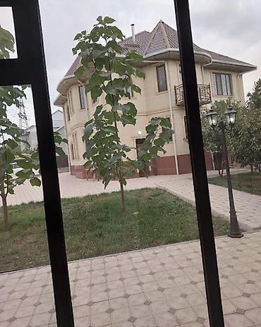 дом арчалы: 200 м², 6 комнат и более, Толойкон мкр. Без подселения — 1