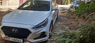 соната пленка: Hyundai Sonata: 2020 г., 2 л, Автомат, Бензин, Седан — 5