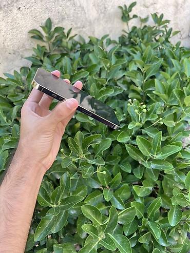 azerbaycan iphone 14: IPhone 13 Pro, Gümüşü, Face ID — 5
