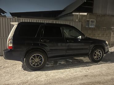 Subaru: Subaru Forester: 2005 г., 2.5 л, Автомат, Бензин, Универсал