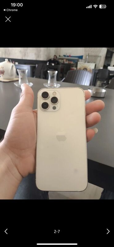 printer rəngi: IPhone 12 Pro, Gümüşü, Face ID