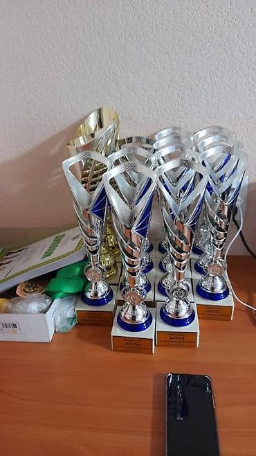 Другие курсы: Преподователь Арабского и тренер по шахматам. Кандидат в мастера — 6