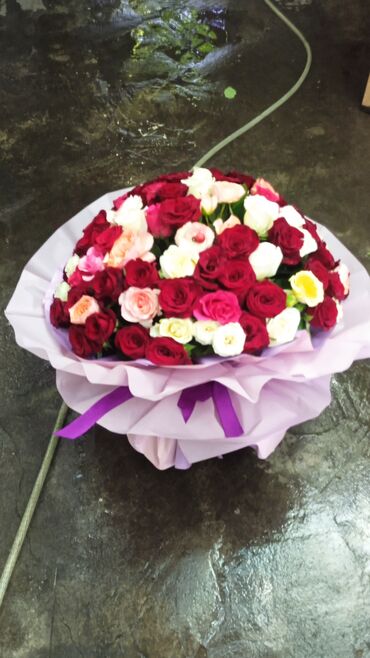 Цветы и букеты: 51 роза и 101 роза 24/7 Акция не дорого‼️ — 10