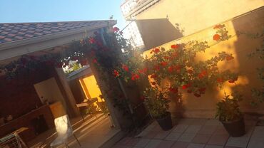 Uzunmüddətli kirayə evlər: 100 kv. m, 3 otaqlı — 9