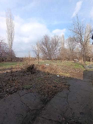 Продажа коттеджей и домов: 📌В селе центре Беловодское продается добротный дом из 4-х комнат на — 15