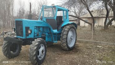 Тракторы МТЗ (Беларус): Модель: 82, Б/у, 1991 г. — 3