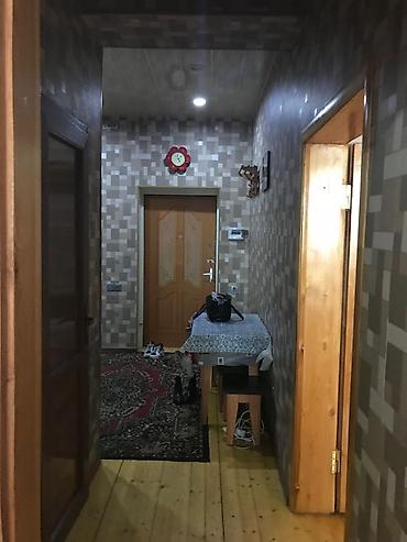 evde qal az: Oğlan və ya qız tələbələrə verilir — 4