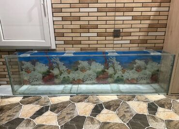 akvarium baliqlari haqqinda melumat: Dördbucaq akvarium, Boş, 350 l, Pulsuz çatdırılma