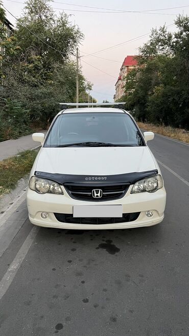 продаю хонда адиссей: Honda Odyssey: 2003 г., 3 л, Типтроник, Газ, Вэн/Минивэн