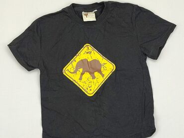 koszulki pitbull: Koszulka, 7 lat, 116-122 cm, stan - Bardzo dobry