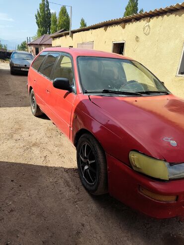 тайота авенсис каракол: Toyota Corolla: 1995 г., 1.4 л, Механика, Бензин, Универсал