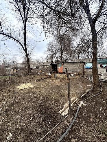 Продажа домов: Дом, 60 м², 2 комнаты — 4