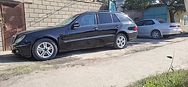 рул мерс 210: Mercedes-Benz E-Class: 2008 г., 3 л, Автомат, Бензин, Универсал — 10