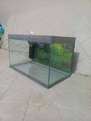 Akvariumi: AKVARIJUM za ribice dimenzija: D-40cm Š-21cm V-24,5cm sa dvodelnim — 2
