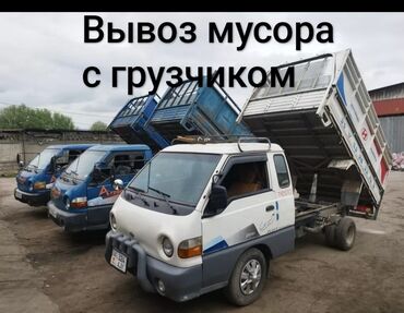 для кошек домик: Вывоз мусора Вывоз мусора Вывоз мусора Вывоз мусора Вывоз мусора