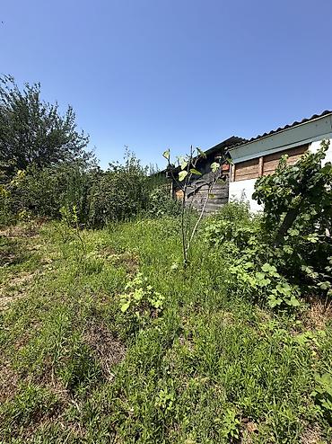binə mehriban qonşular: 5 sot, Tikinti, Mülkiyyətçi, Kupça (Çıxarış), Texniki pasport — 6