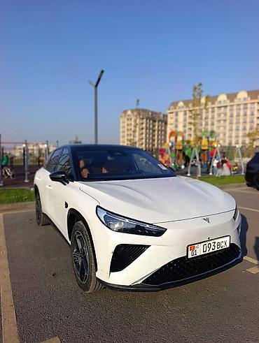 byd e1: Hozon Neta L: 2024 г., 0.1 л, Автомат, Гибрид, Кроссовер — 3
