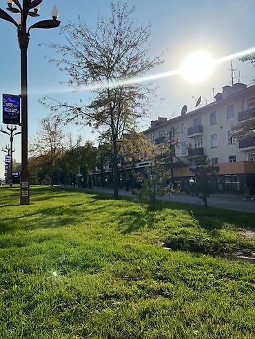 однокомнатная квартира политех: 1 комната, 30 м², Хрущевка, 1 этаж, Свежий ремонт — 10