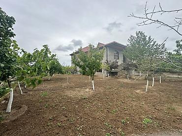 albali: Buzovna 6 otaqlı, 200 kv. m, Kredit yoxdur, Orta təmir — 5