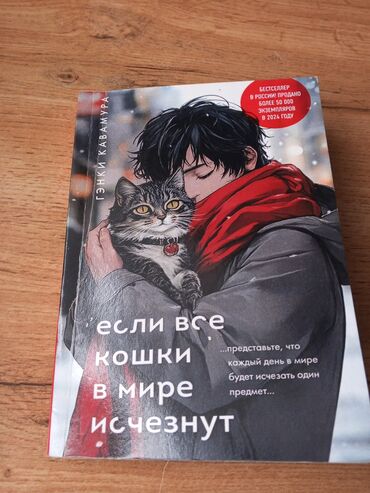 адабий китеп: Орус тилинде, Колдонулган