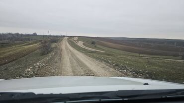 nəsimi rayonu: 407 sot, Kənd təsərrüfatı, Mülkiyyətçi, Kupça (Çıxarış)