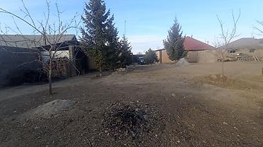 Продажа участков: 25 соток — 14