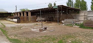 мтф: 36 соток, Для строительства, Красная книга, Тех паспорт — 10