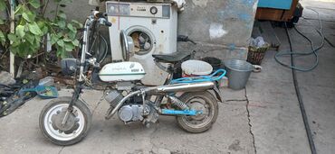 Другая мототехника: Мини рига 30, в 50, 2 передачи максимальная скорость 40, резина новая — 3