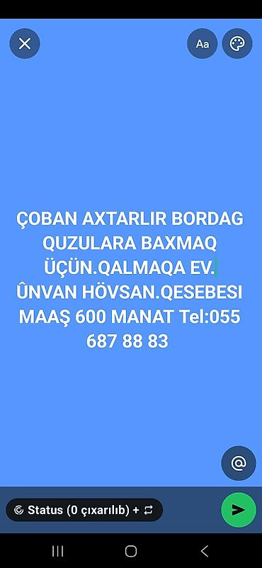coban axtarilir: Çoban, 22 yaş, 1 ildən az təcrübə — 1